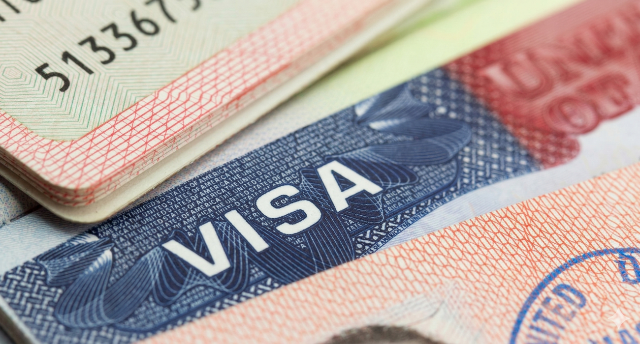 D tipi ulusal vize nedir